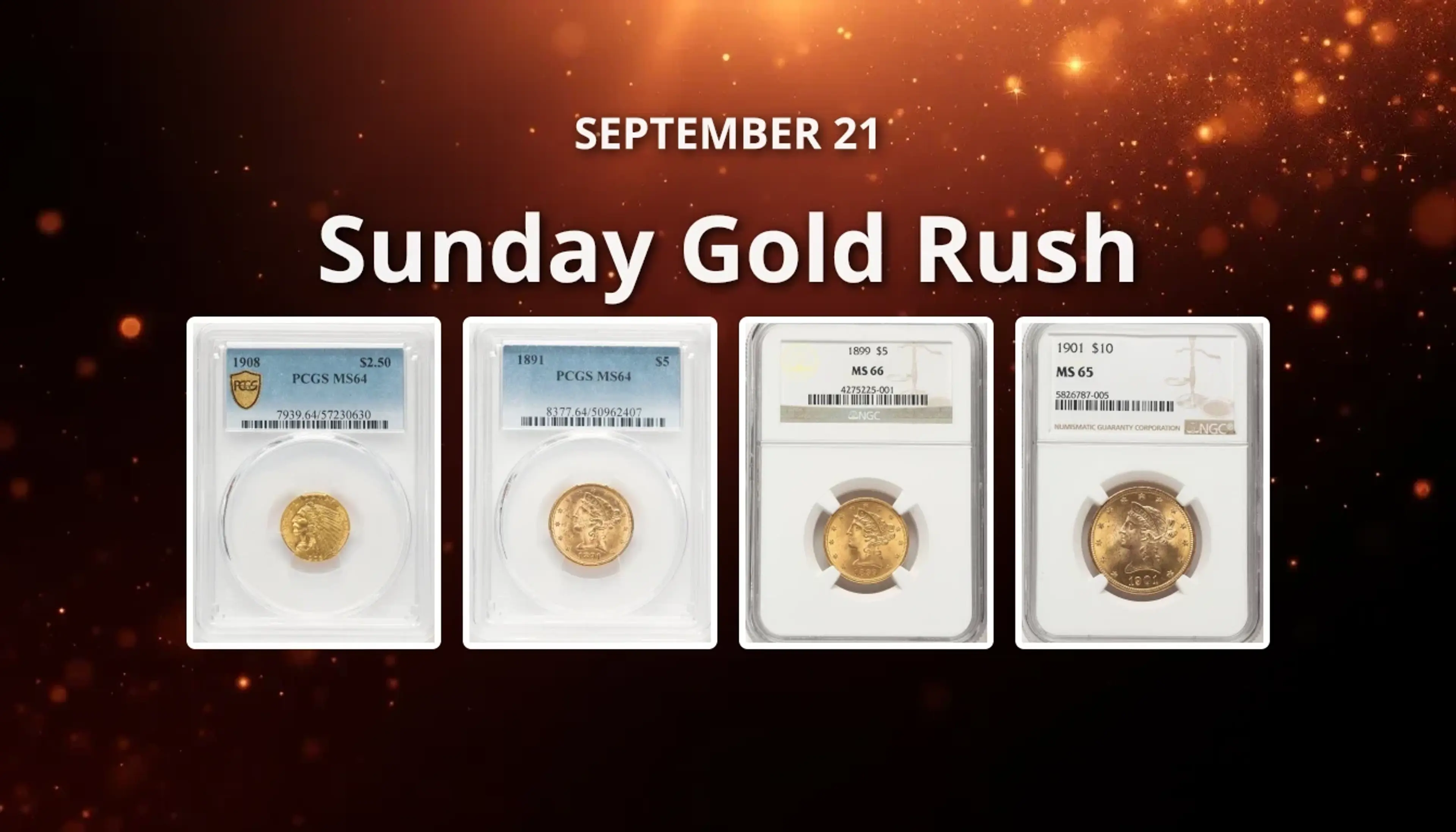 Sunday Gold Rush