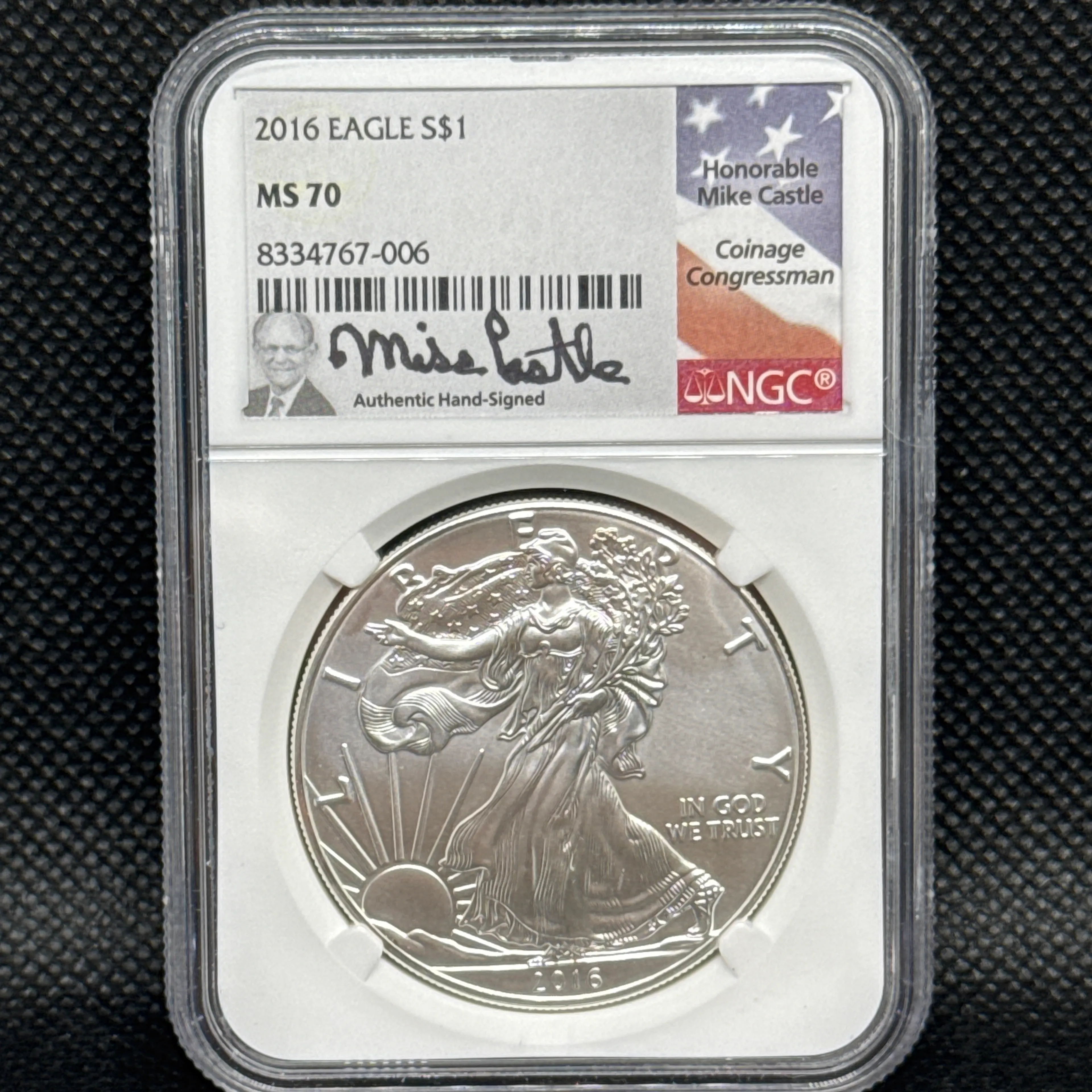 2016 Silver Eagle Mike Castle - Image 1