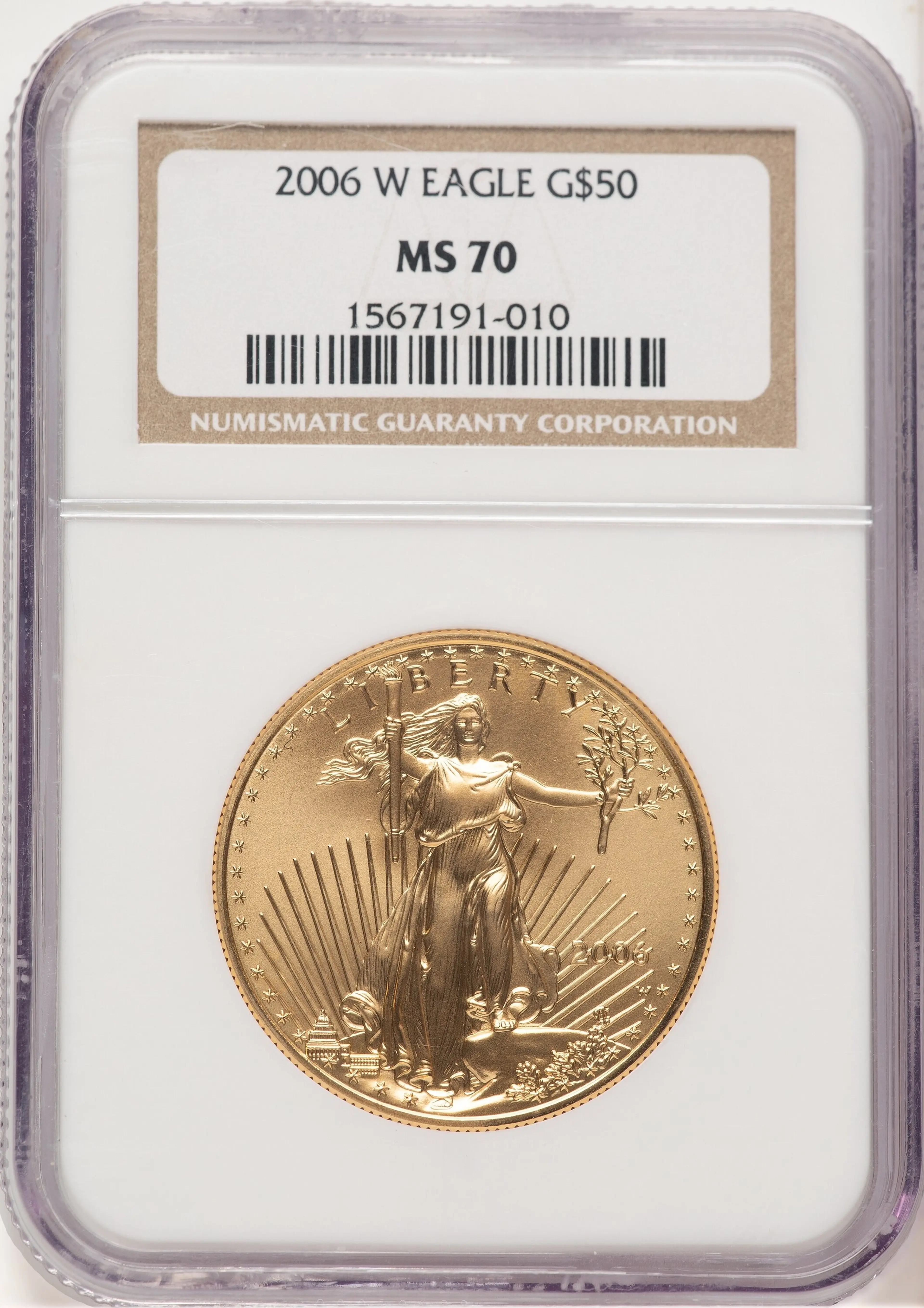 2006-W Burnished Gold Eagle 1 oz Brown Label