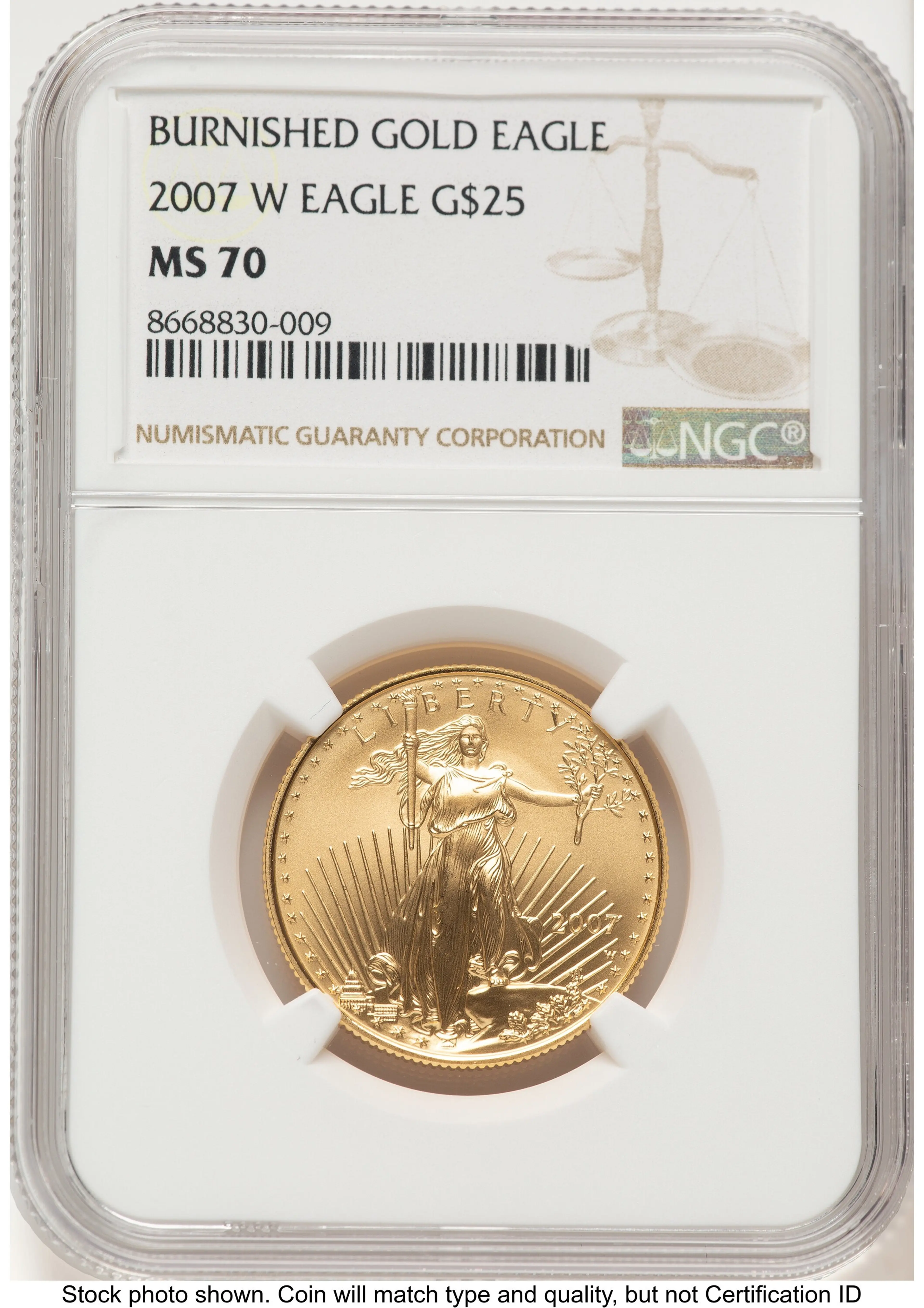 2007-W Burnished Gold Eagle 1/2 oz 0.50 oz Brown Label