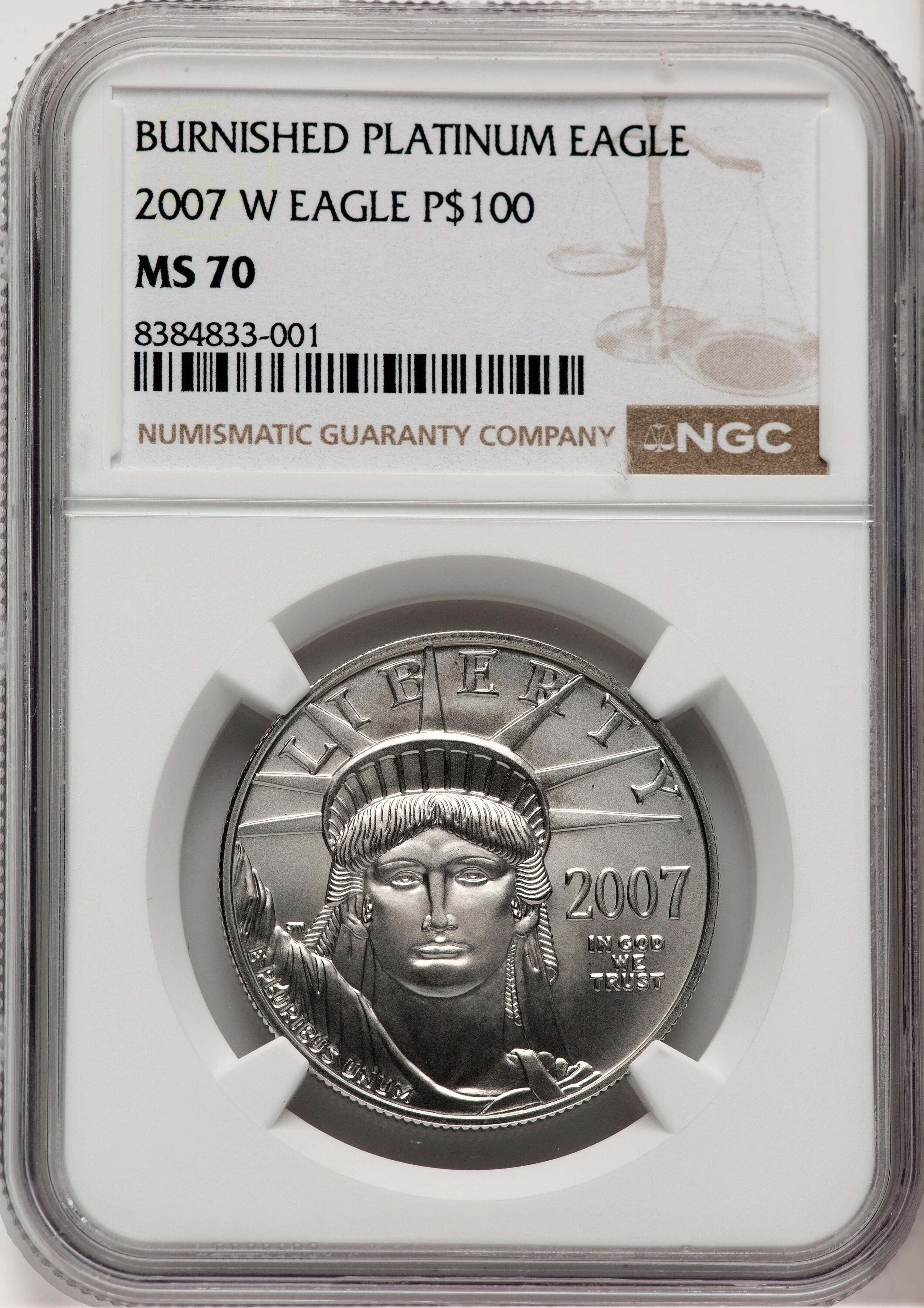 2007-W $100 One-Ounce Platinum Eagle, Burnished, SP Brown Label - Image 1