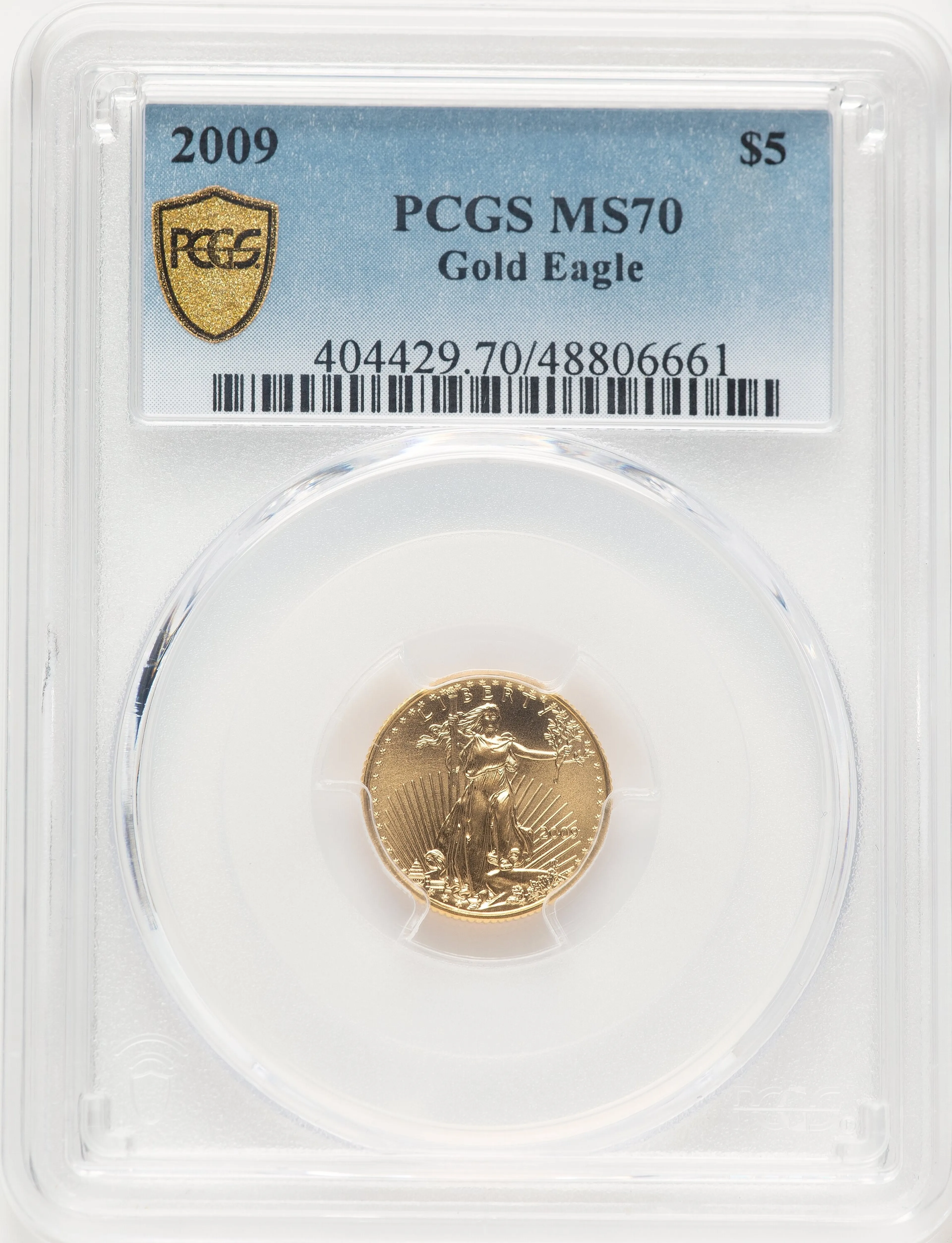 2009 $5 Tenth-Ounce Gold Eagle, MSBlue Gradient - Image 1