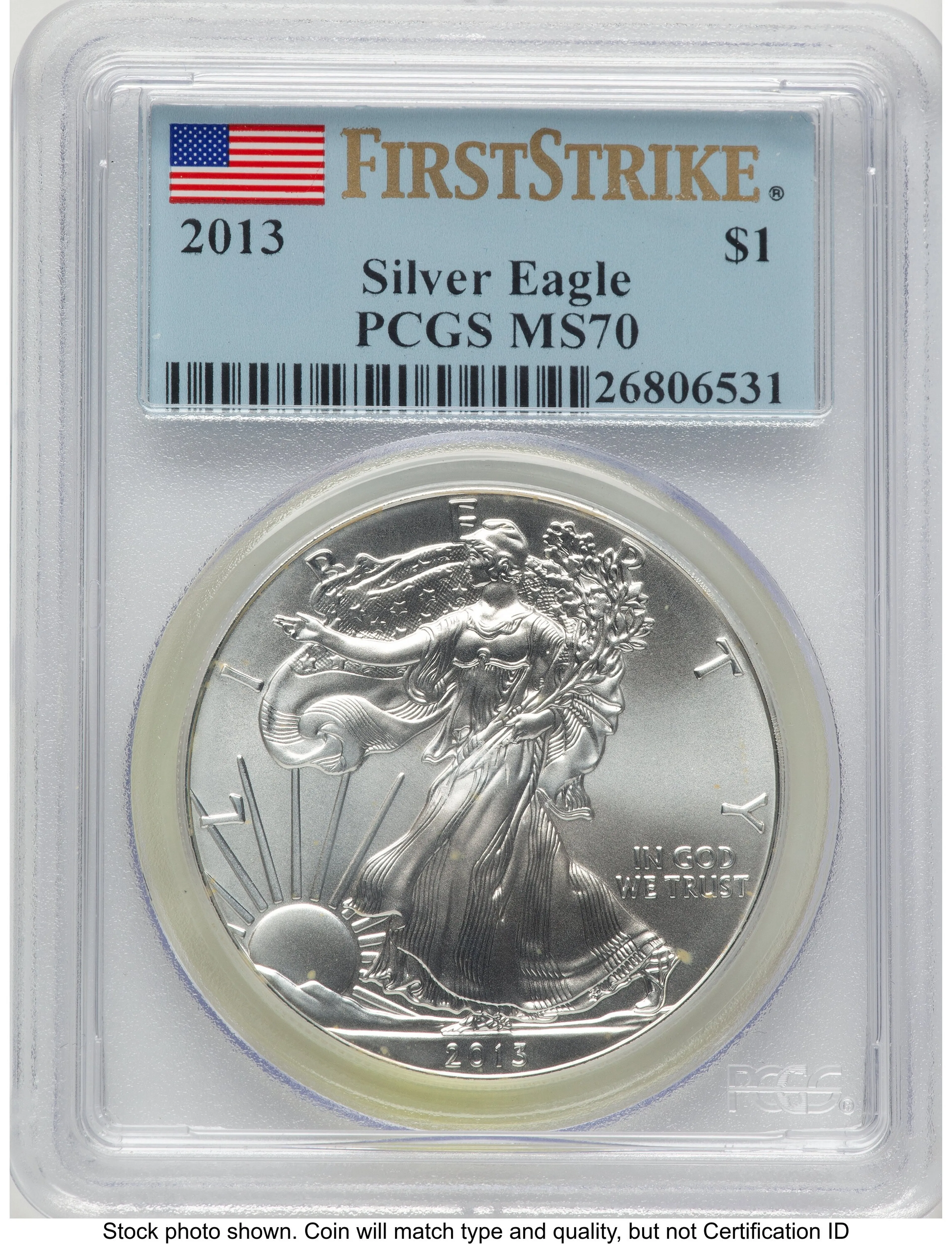 2013 Silver Eagle FS Flag - Image 1