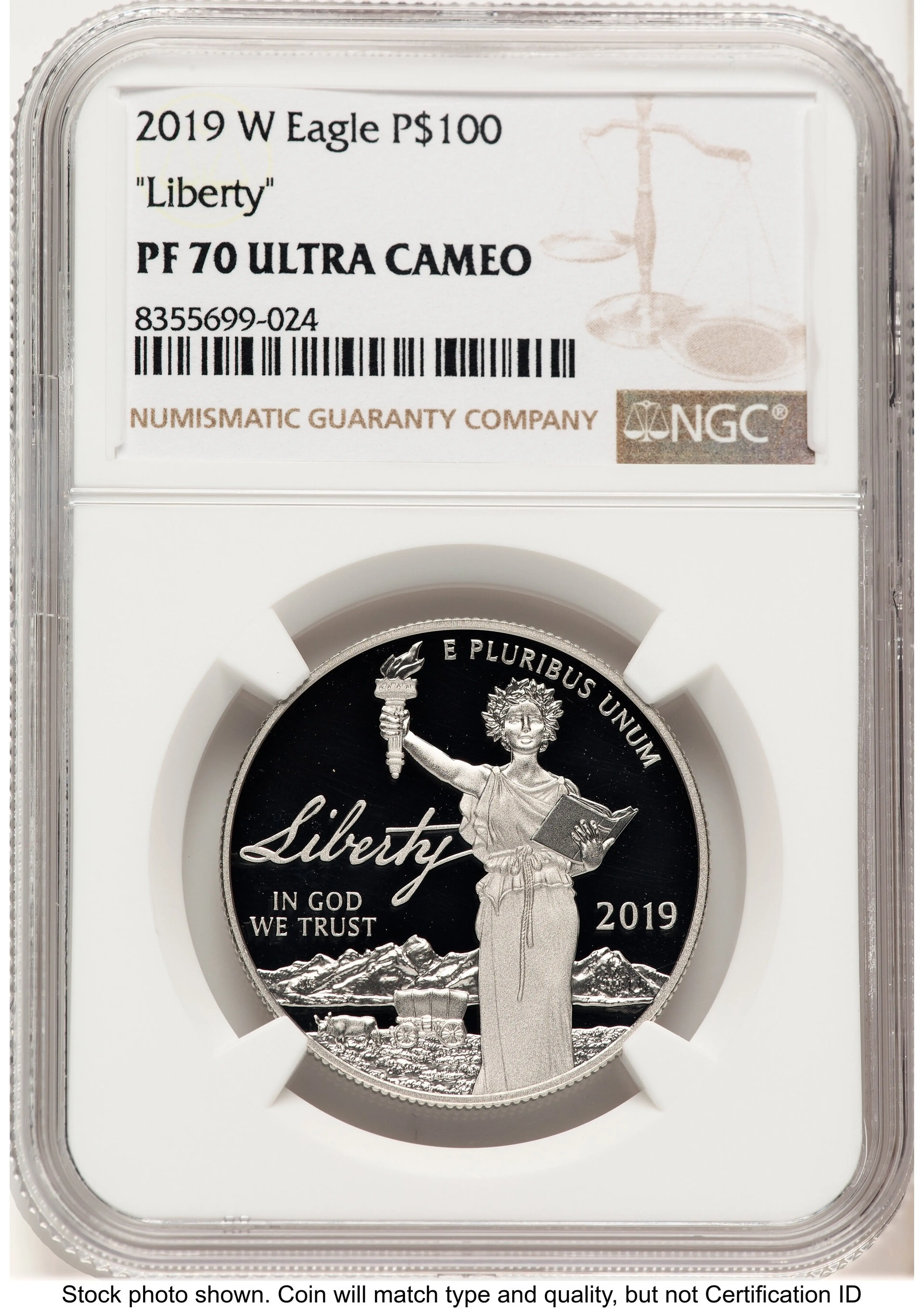 2019-W Proof Platinum Eagle 1 oz Brown Label